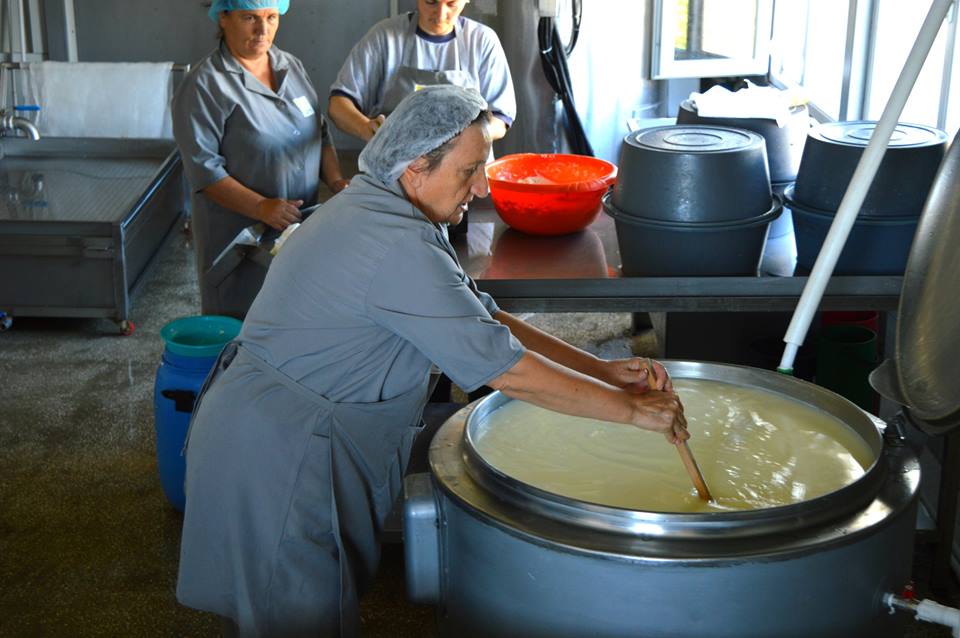 Ecomigrant Women in Disveli Start Cheese Production geotv.ge
